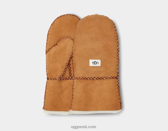 UGG lapsed pistega lambanahkne labakinnas PHPB1792 kastan