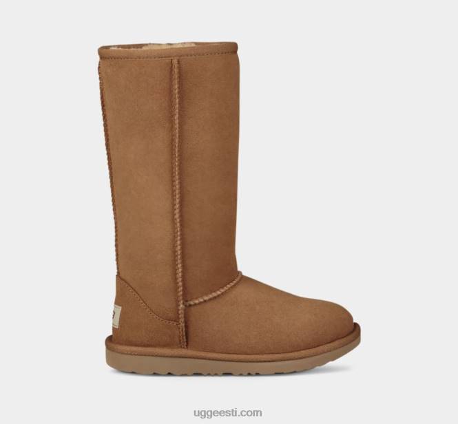 UGG lapsed klassikaline ii pikk saabas PHPB1718 kastan