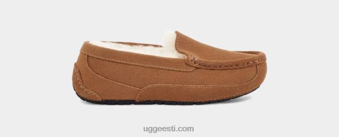 UGG lapsed ascot PHPB2325 kastani seemisnahk