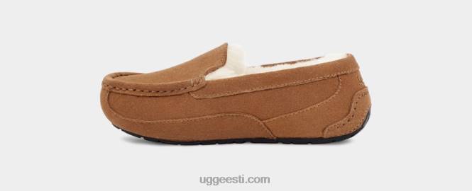 UGG lapsed ascot PHPB2325 kastani seemisnahk