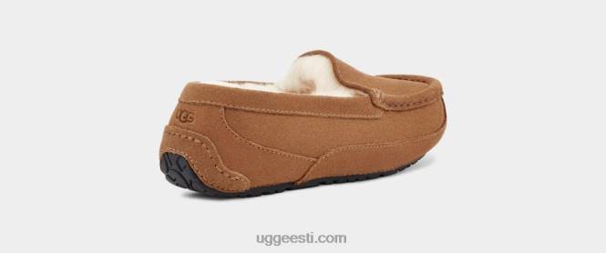 UGG lapsed ascot PHPB2325 kastani seemisnahk