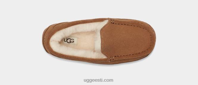 UGG lapsed ascot PHPB2325 kastani seemisnahk