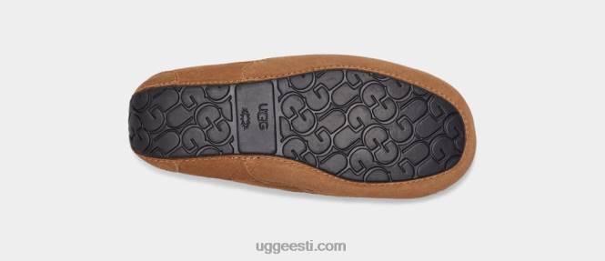 UGG lapsed ascot PHPB2325 kastani seemisnahk