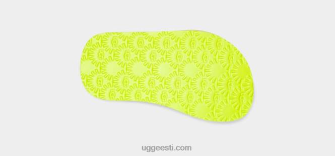 UGG väikelapsed zuma tropp PHPB327 väävel