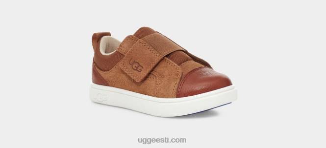 UGG väikelapsed rennon madal PHPB1960 kastan