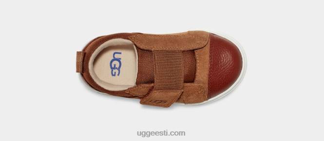 UGG väikelapsed rennon madal PHPB1960 kastan