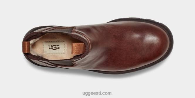 UGG mehed hillmont chelsea PHPB1506 kastani nahk