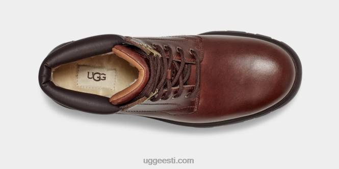 UGG mehed stenton PHPB1536 kastani nahk