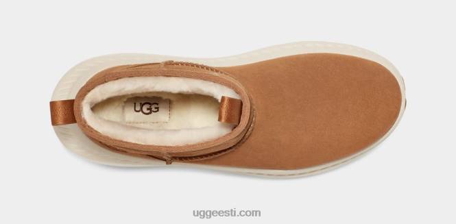 UGG mehed ca805 v2 ultra mini PHPB2313 kastan