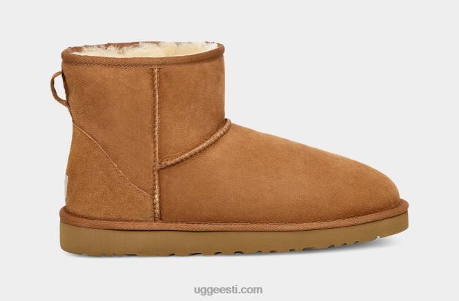 UGG mehed klassikaline minisaabas PHPB1405 kastan