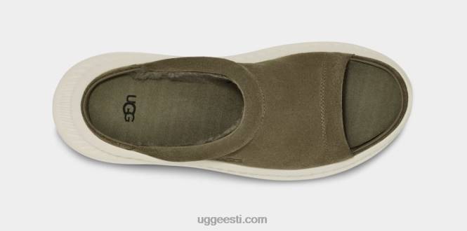 UGG mehed ca805 v2 slaid PHPB1607 põletatud oliiv