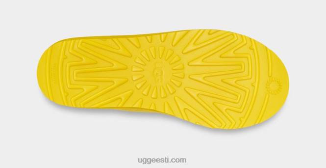 UGG mehed Tasmani hajuvusgraafik PHPB219 kanaarilind