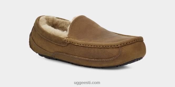 UGG mehed ascot matt nahk PHPB1504 tan