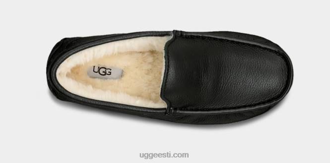 UGG mehed ascot nahast suss PHPB1539 must