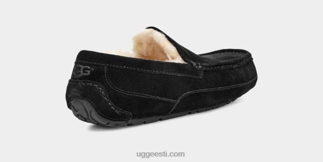 UGG mehed ascot suss PHPB1422 must