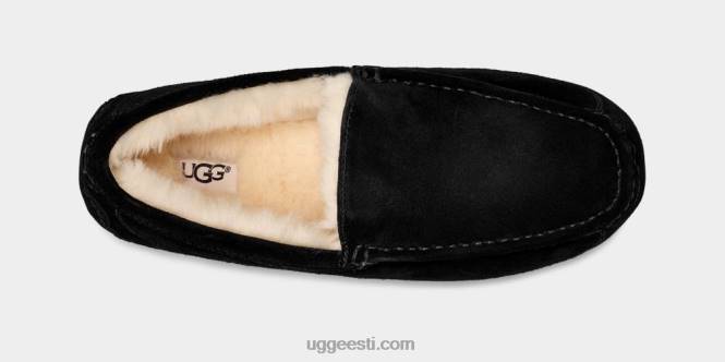 UGG mehed ascot suss PHPB1422 must