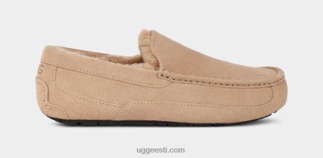 UGG mehed ascot suss PHPB1423 liiv