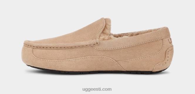 UGG mehed ascot suss PHPB1423 liiv