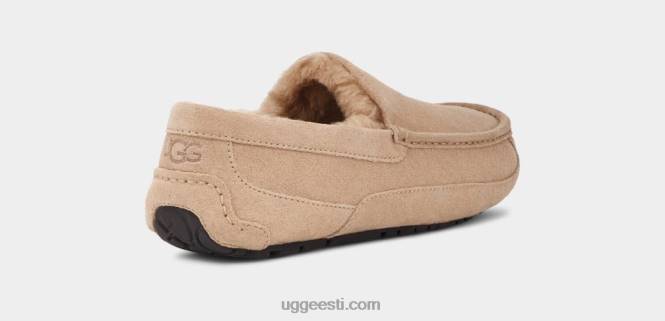UGG mehed ascot suss PHPB1423 liiv