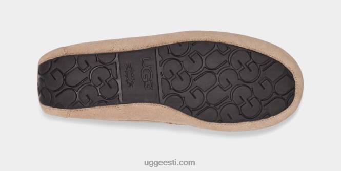 UGG mehed ascot suss PHPB1423 liiv