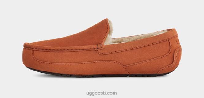 UGG mehed ascot suss PHPB1651 saematerjal