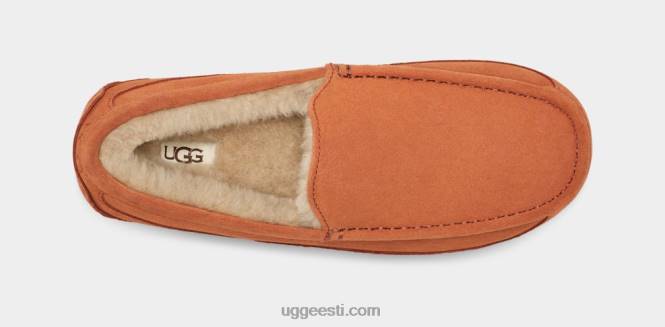 UGG mehed ascot suss PHPB1651 saematerjal