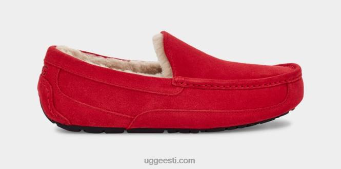 UGG mehed ascot suss PHPB1653 samba punane