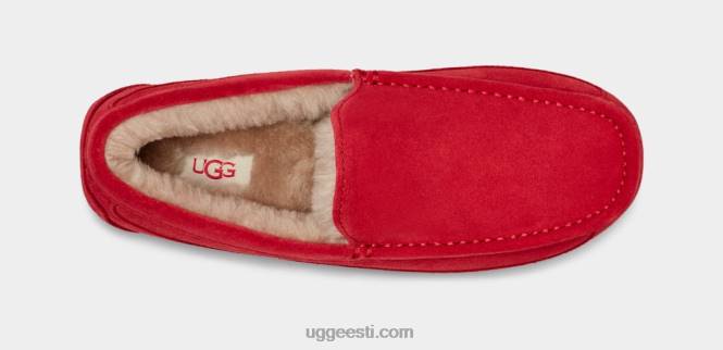 UGG mehed ascot suss PHPB1653 samba punane