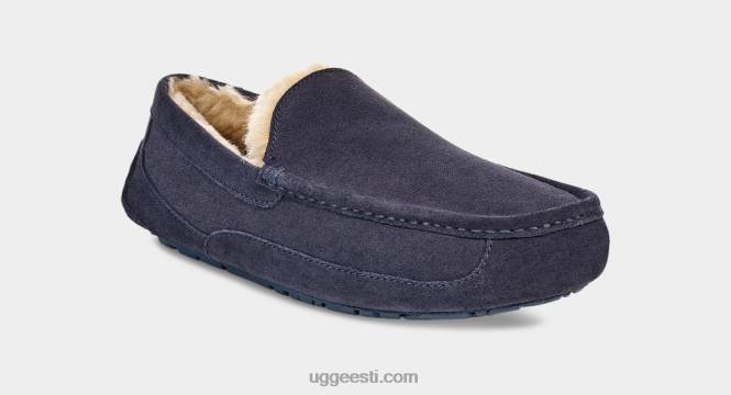 UGG mehed ascot suss PHPB1654 tõeline merevägi