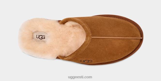 UGG mehed kriimustus PHPB1426 kastan