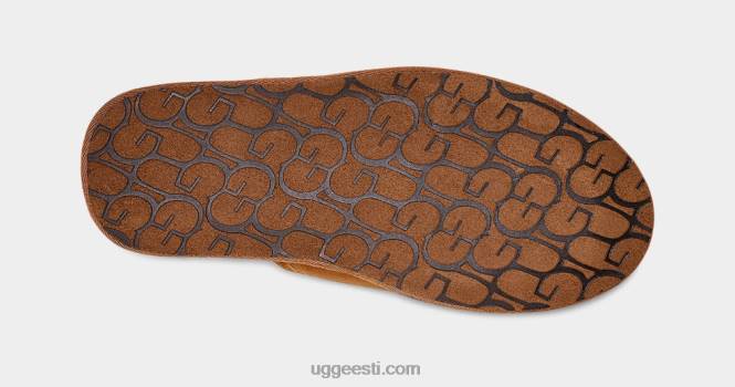 UGG mehed kriimustus PHPB1426 kastan