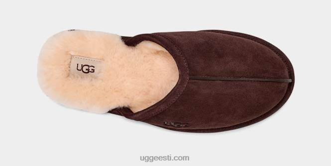 UGG mehed kriimustus PHPB1552 espresso