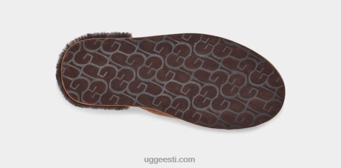 UGG mehed kulunud logo PHPB1620 kastan/espresso