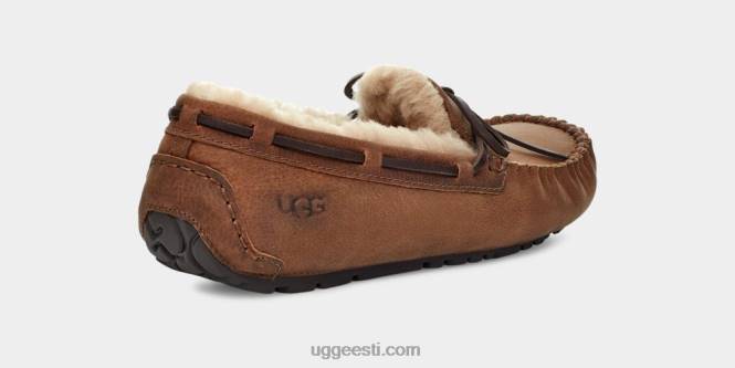 UGG mehed olsen PHPB203 tan