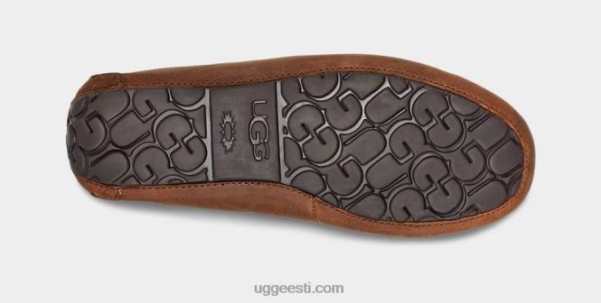 UGG mehed olsen PHPB203 tan