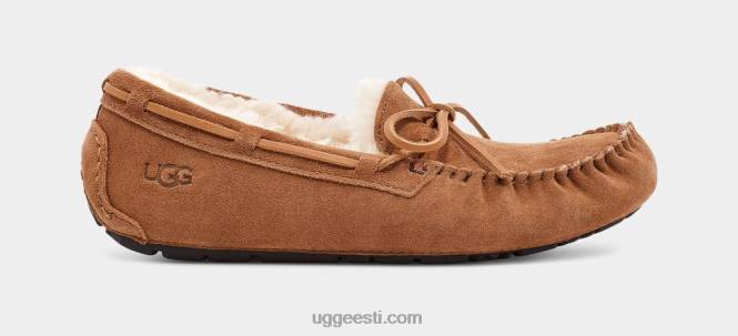 UGG mehed olsen suss PHPB1543 kastan