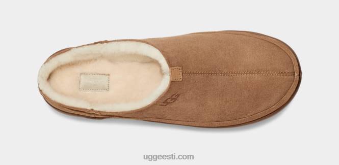 UGG mehed parkdale ummistus PHPB1642 kastan