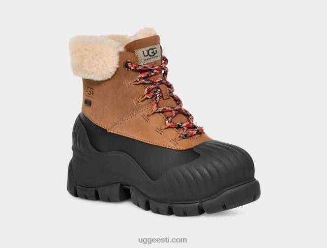 UGG naised adiroam matkaja PHPB8 kastan