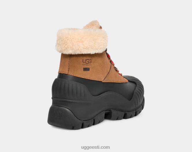 UGG naised adiroam matkaja PHPB8 kastan