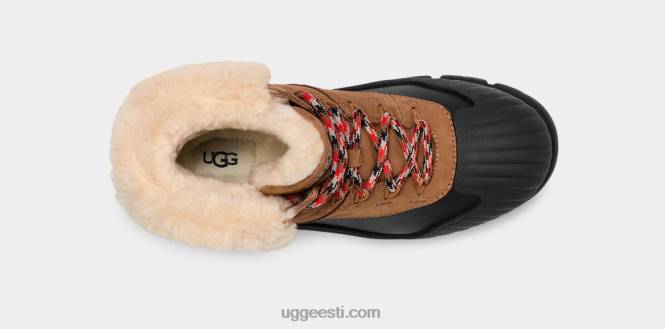 UGG naised adiroam matkaja PHPB8 kastan