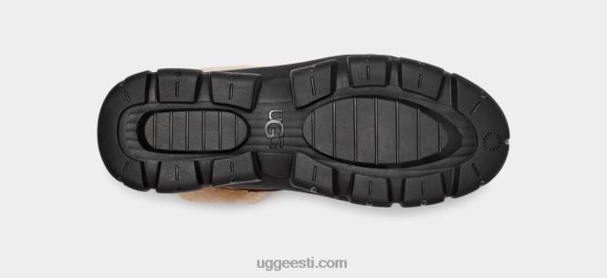 UGG naised adiroam matkaja PHPB8 kastan