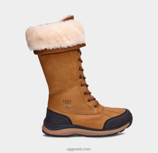 UGG naised adirondack iii kõrge saabas PHPB597 kastan