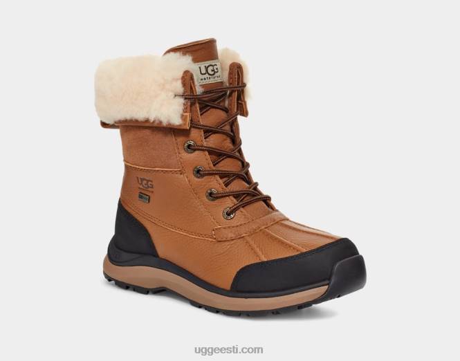 UGG naised adirondack iii saabas PHPB592 kastan