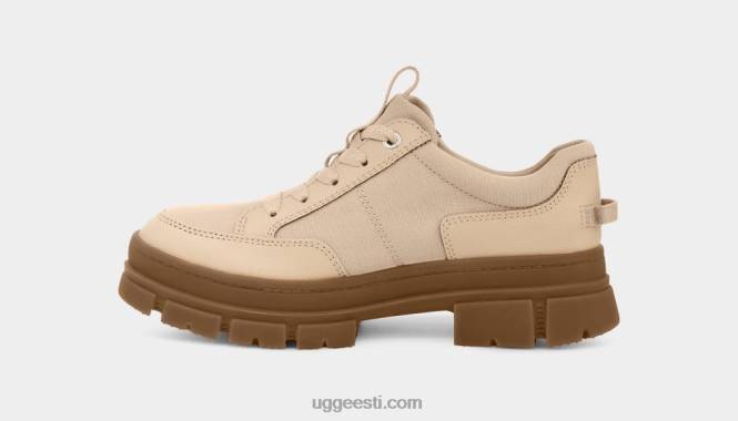 UGG naised ashtoni hübriid PHPB495 triivpuit