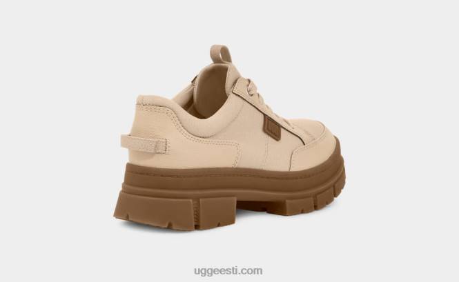 UGG naised ashtoni hübriid PHPB495 triivpuit