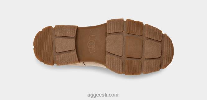 UGG naised ashtoni hübriid PHPB495 triivpuit