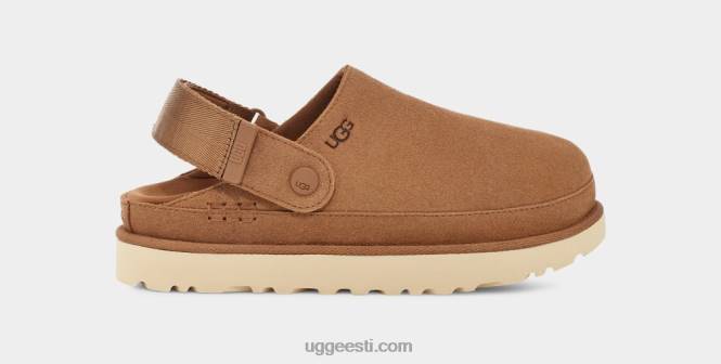 UGG naised kuldtähe ummistus PHPB599 kastan