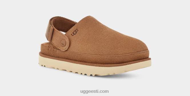 UGG naised kuldtähe ummistus PHPB599 kastan
