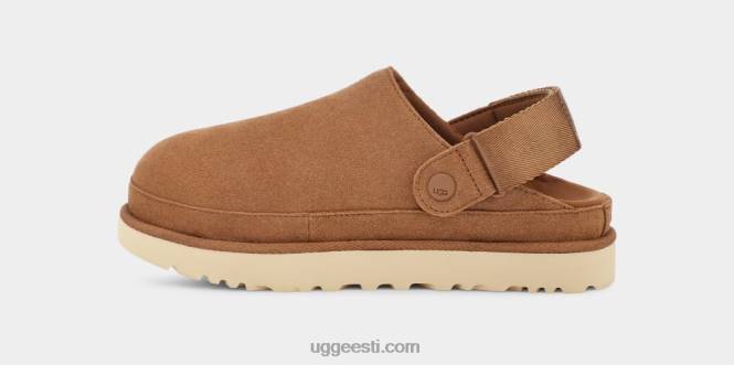 UGG naised kuldtähe ummistus PHPB599 kastan