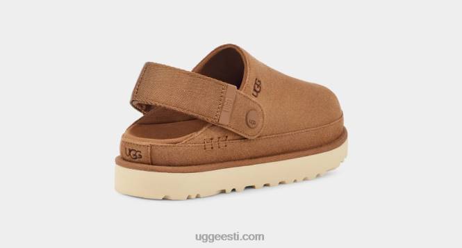 UGG naised kuldtähe ummistus PHPB599 kastan